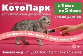 Развлекательная выставка кошек "КотоПарк"