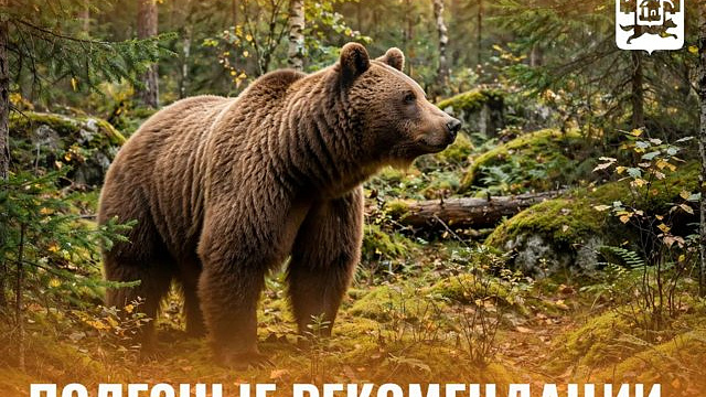 Жителям Новокузнецка напомнили правила безопасности из-за выходов медведей к посёлкам