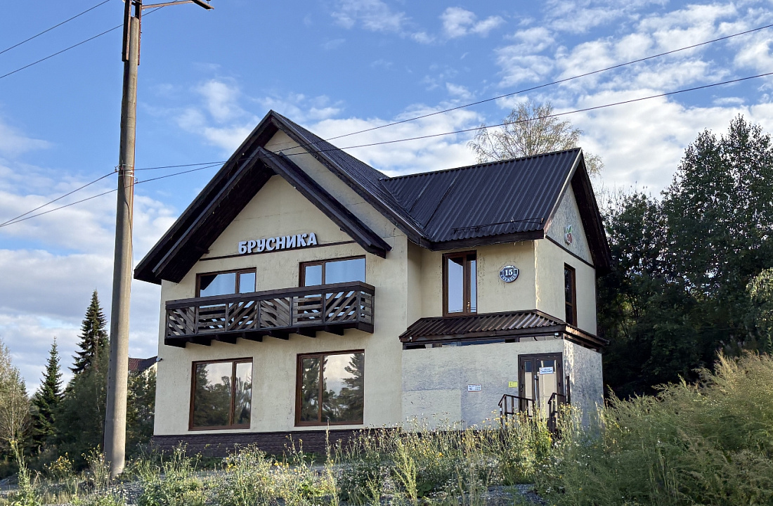 Брусника в Шерегеше — фото 1