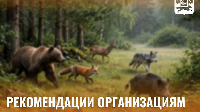Предприятиям Новокузнецка рекомендовали усилить меры из-за выхода диких животных