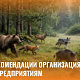 Предприятиям Новокузнецка рекомендовали усилить меры из-за выхода диких животных