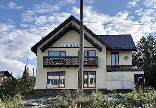 Брусника в Шерегеше — фото 2
