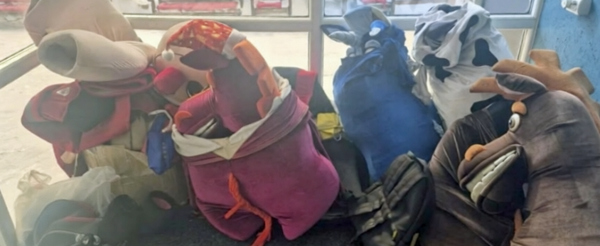 Полиция Кузбасса поймала аниматоров в костюмах лошадей и зебр в Шерегеше: штрафы до 800 тысяч рублей