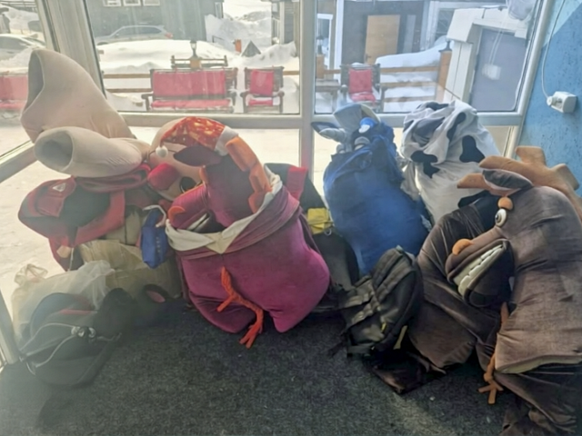 Полиция Кузбасса поймала аниматоров в костюмах лошадей и зебр в Шерегеше: штрафы до 800 тысяч рублей