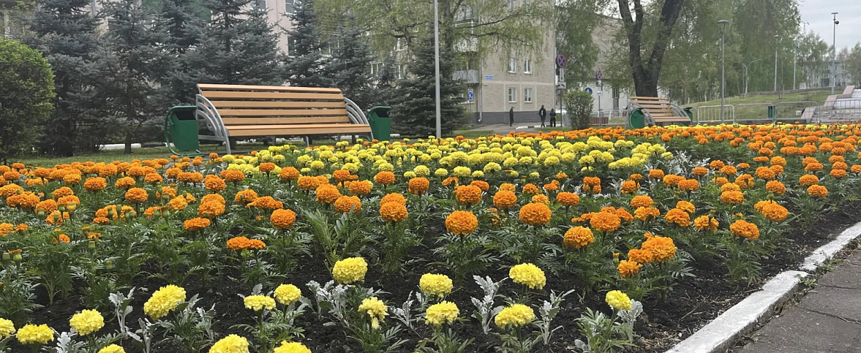 В Кузбассе резко похолодает: ожидаются дождь, мокрый снег и ветер до 22 м/с