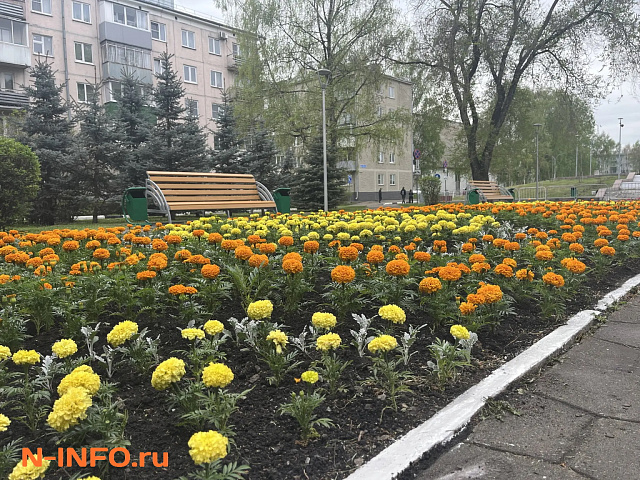 В Кузбассе резко похолодает: ожидаются дождь, мокрый снег и ветер до 22 м/с