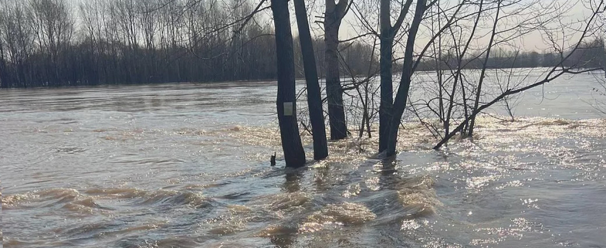 Паводок-2026 в Кузбассе: зона подтопления, прогнозы и что делать жителям