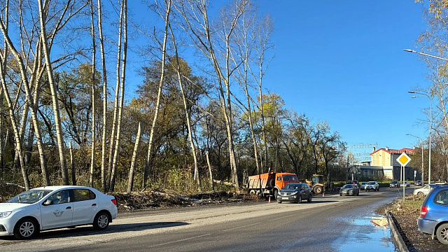 В Новокузнецке на Транспортной спиливают деревья возле дороги напротив дома №33