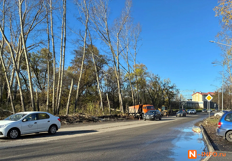 В Новокузнецке на Транспортной спиливают деревья возле дороги напротив дома №33