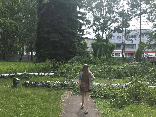 Суд отменил застройку и приказал вернуть мэрии сквер «Комсомольский» в Новокузнецке