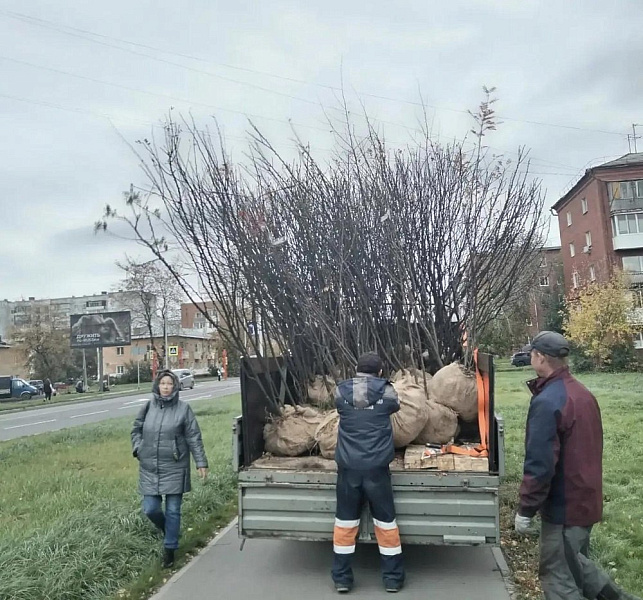 подрядная организация