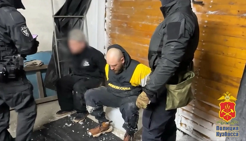 Таштаголец вырастил коноплю в подвале гаража и получил 10,5 лет колонии