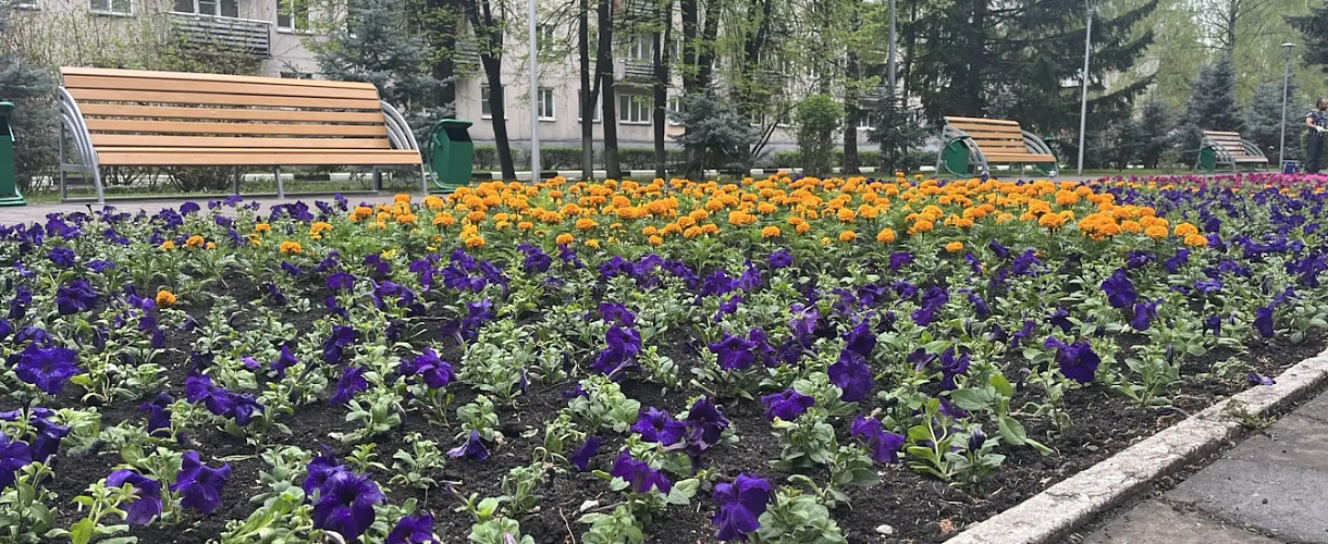 В Новокузнецке начинают обрабатывать парки и скверы от клещей