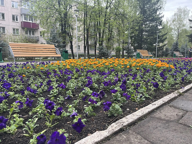 В Новокузнецке начинают обрабатывать парки и скверы от клещей