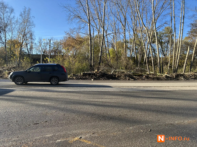 В Новокузнецке на Транспортной спиливают деревья возле дороги напротив дома №33