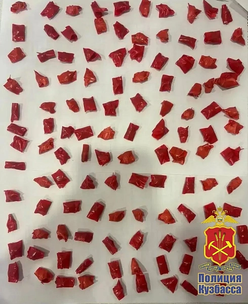 В Прокопьевске перед судом предстанет житель Киселевска, пытавшийся сбыть метадон