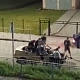  В Белове бесправник на ВАЗ-2110 без крыши катал пассажиров — видео попало в соцсети