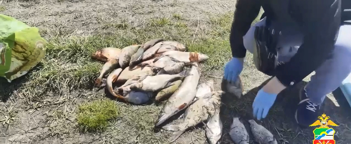 На реке Томь в Юргинском районе задержали двух браконьеров с сетью и уловом