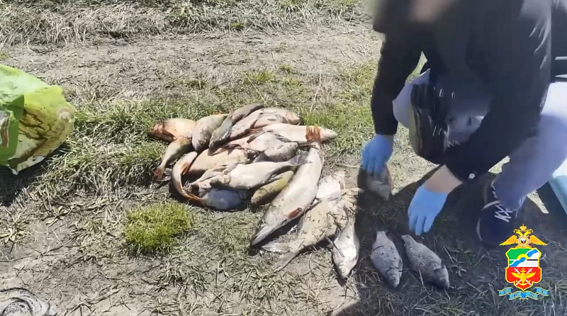 На реке Томь в Юргинском районе задержали двух браконьеров с сетью и уловом