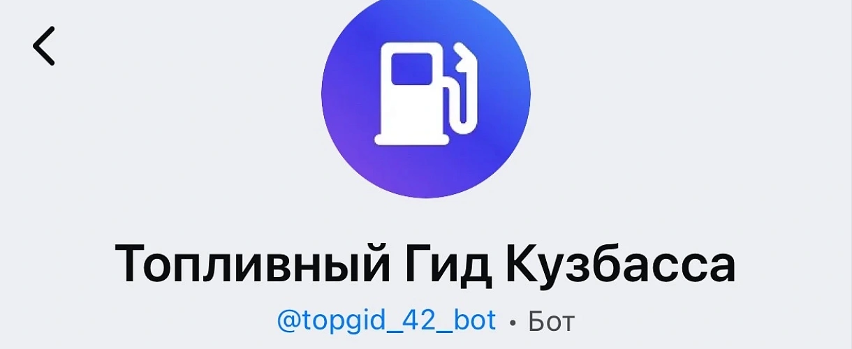 В Кузбассе заработал чат-бот «Топливный гид Кузбасса» в мессенджере MAX.